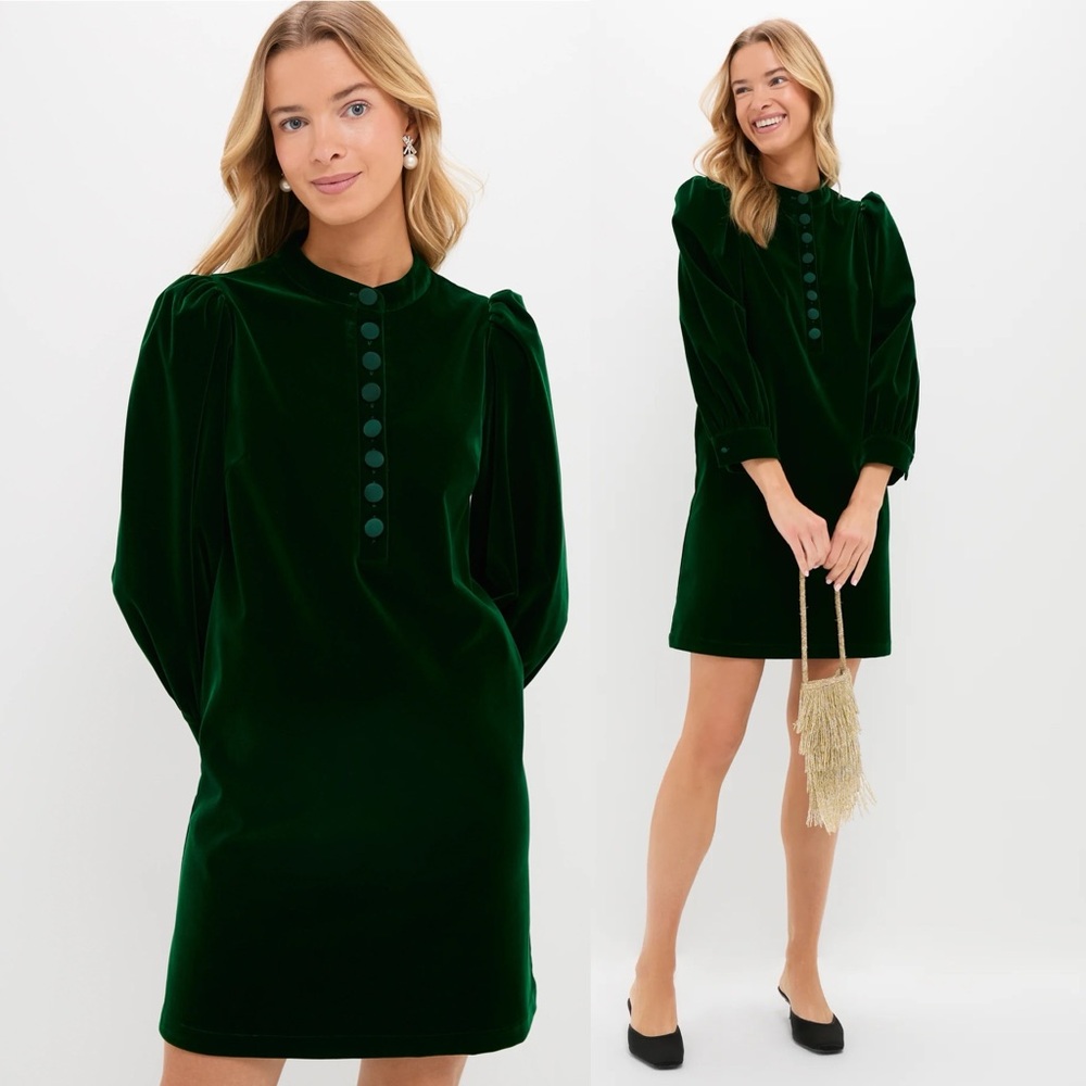 Tuckernuck Deep Green Velvet Button-Front Mini Dress